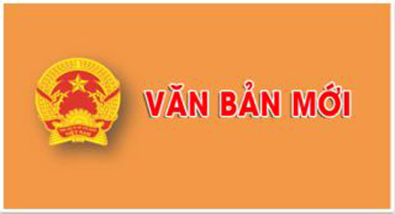 Chương trình đào tạo tại Công ty Cổ phần đầu tư Hải Phát